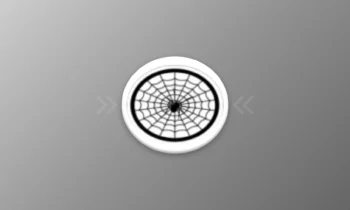 Prova de Especialidade - Aranhas