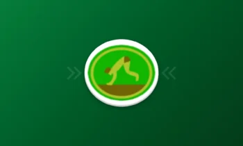 Prova de Especialidade - Ginastica Acrobatica