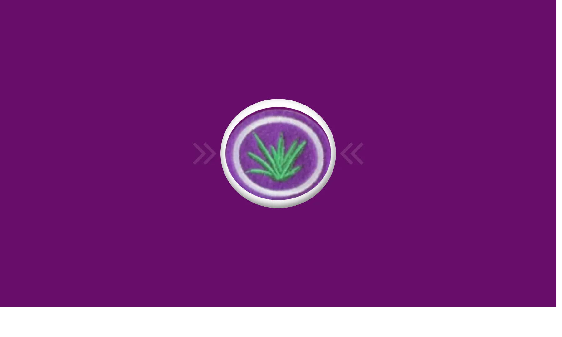 Plantas Medicinais
